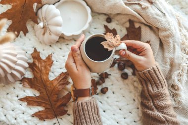 Bir fincan çayla eller, günaydın konsepti. Sonbahar havası.