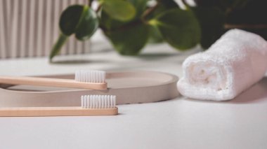 Bambu diş fırçaları beyaz arka planda zarif beton bir camda..