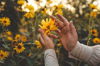 Bahçıvanın elinde güzel çiçekler, sonbahar havası..