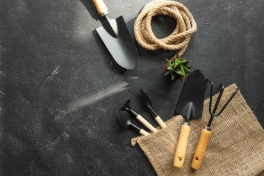 metin üstten görünüm için alan koyu ahşap zemin üzerine Bahçe aletleri