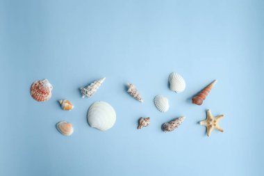 Deniz kabukları, deniz yıldızı ve mercanlar mavi arka planda, üst manzara, kopyalama alanı. Yaz tatili ya da tatil konsepti.