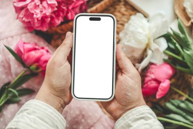 Cep telefonu ve pembe arka planda bahar çiçeği pembe şakayıkları. Aşk teması, Anneler Günü, Kadınlar Günü düzlük.