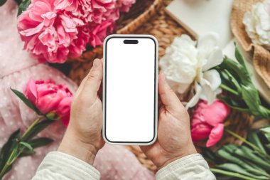 Cep telefonu ve pembe arka planda bahar çiçeği pembe şakayıkları. Aşk teması, Anneler Günü, Kadınlar Günü düzlük.