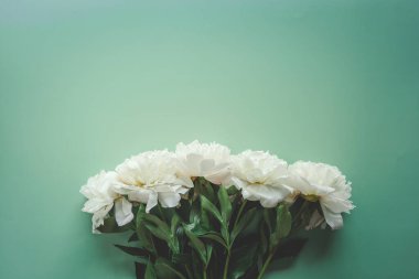 Yeşil arkaplan üzerinde güzel beyaz şakayık çiçekleri metin üstü görünümün ve düz yatış tarzın için kopya alanı ile.