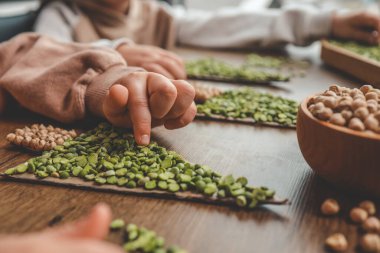 Evde çocukların duyusal yaratıcılığı için fikir.