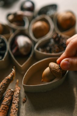 Montessori ve Duyusal Gelişim, bir çocuk doğal malzemelerle oynar.