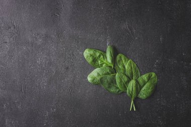 Siyah arka planda ıspanak yaprakları yığını.