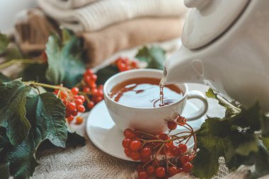 Sonbahar kompozisyonunda Viburnum ile bir fincan çay..