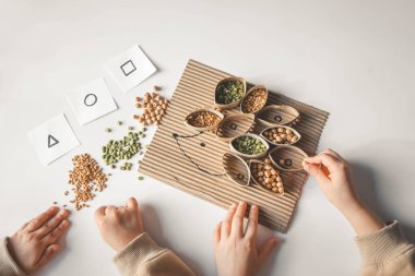 Montessori ve Duyusal Gelişim, bir çocuk doğal malzemelerle oynar ve mısır gevreğini sınıflandırır.