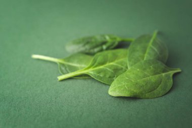 Yeşil arkaplanda ıspanak yaprağı, yakın plan..