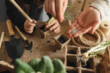 Anne ve çocuk tohum ekiyor, bahar ve bahçe işleri..