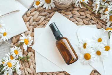 Papatya çiçekleri ve beyaz arka plan üzerinde uçucu yağ kozmetik şişe ile Kompozisyon, üst görünümü.