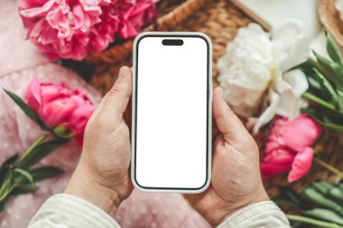 Cep telefonu ve pembe arka planda bahar çiçeği pembe şakayıkları. Aşk teması, Anneler Günü, Kadınlar Günü düzlük.