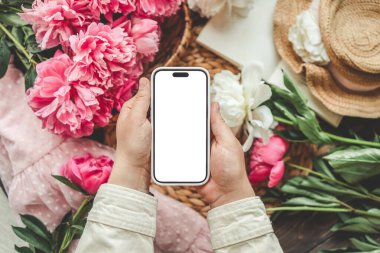 Cep telefonu ve pembe arka planda bahar çiçeği pembe şakayıkları. Aşk teması, Anneler Günü, Kadınlar Günü düzlük.