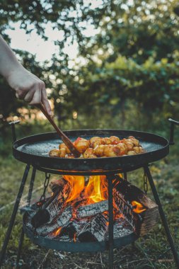 Ateşte kızartılmış patatesler, doğada piknik..