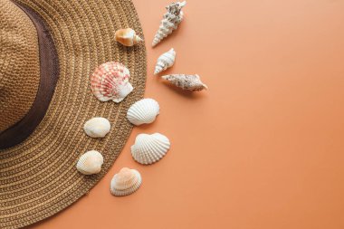 Renkli arka planda güzel hasır şapka ve deniz kabukları, üst manzara.