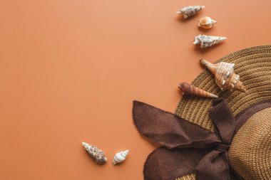 Beautiful straw hat and seashells on color background, top view.