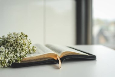 Beyaz arkaplanda çiçekli İncil 'i aç.