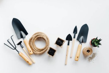 Beyaz arkaplanda bir bahçe aracı seti.