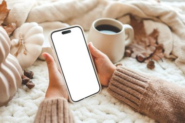 İzole bir ekranı olan telefon, sonbahar havası..