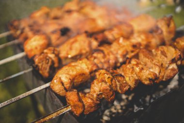 Adam gün içinde arka bahçede ızgara ızgara domuz eti yapıyor. Aile yemeği açık hava tarzı bbq etkinliği.