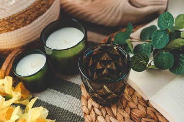 Bir bardak su ve okaliptüs dalı, günaydın konsepti..