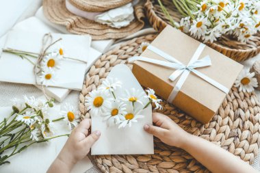 Elinde papatya ve estetik dekor olan zarf, tatil konsepti..