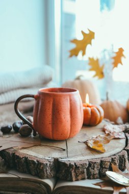 Sonbahar, pencere kenarında sakin bir hayat, pencerenin dışında düşen yapraklar, kazaklar, balkabakları, bir fincan çay..