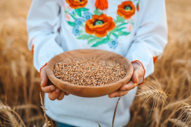 Ukrainian girl holding wheat grain in the field, harvest concept