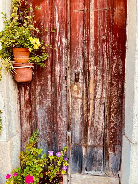 Weathered wooden door with hanging flowers