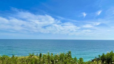 Tropik manzara; yaban çiçeklerinin üzerinde güzel bir manzara ufukta dağınık bulutlarla sakin mavi okyanusa bakıyor.