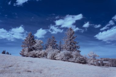 Kızılötesi fotoğrafçılık - gökyüzü altındaki bulutlu manzaranın fotoğrafı - dünyamızın kızılötesi spektrumdaki sanatı