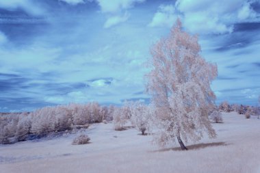 infrared photography - ir photo of landscape under sky with clouds - the art of our world in the infrared spectrum