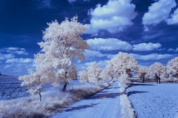 Infrared Photography Photo Landscape Sky Clouds Art Our World Infrared — стоковое фото