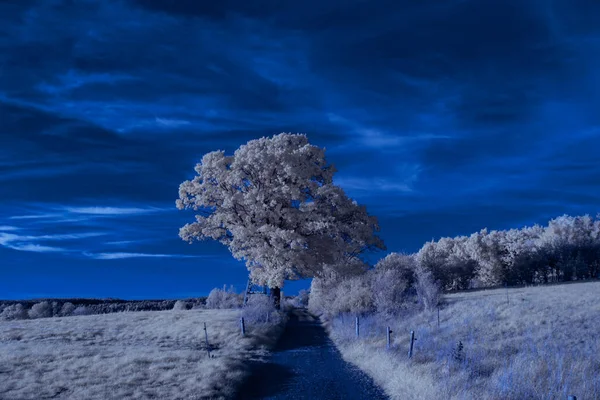 Infrared Photography Photo Landscape Sky Clouds Art Our World Infrared — Foto de Stock