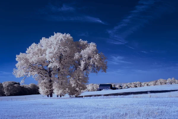 Infrared Photography Photo Landscape Sky Clouds Art Our World Infrared — Stock Photo, Image