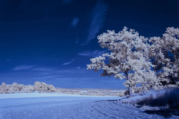 Infrared Photography Photo Landscape Sky Clouds Art Our World Infrared — Stock Photo, Image