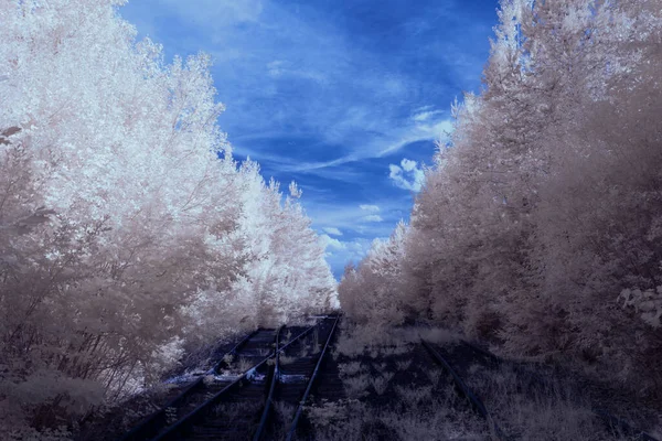 Infrared Photography Photo Landscape Sky Clouds Art Our World Infrared — Zdjęcie stockowe