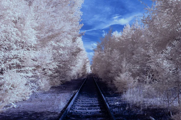 Infrared Photography Photo Landscape Sky Clouds Art Our World Infrared — 스톡 사진