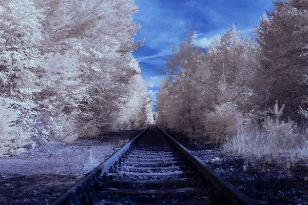 Infrared Photography Photo Landscape Sky Clouds Art Our World Infrared — 스톡 사진
