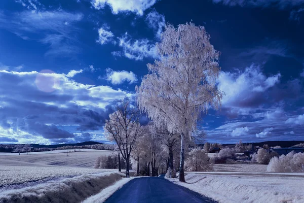 Infrared Photography Photo Landscape Sky Clouds Art Our World Infrared — Stockfoto