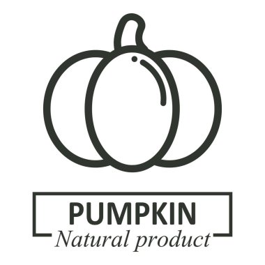 cartoon pumpkin vector image outline logotype