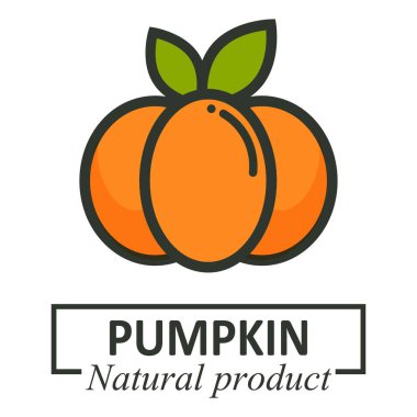 cartoon pumpkin vector image with leaves logotype