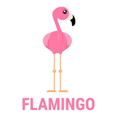 cartoon cute flamingo from the front vector with text