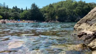 Bu video sahilde güzel, berrak bir su koyunu sergiliyor. İnsanlar yüzüyor ve güneşin tadını çıkarıyorlar. Su sakin ve davetkar. Kayalık bir kıyısı ve yemyeşil ağaçları var. Bu...