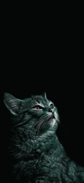 Retrato Hermoso Gato Oscuridad Fondo Pantalla Vida Silvestre —  Fotos de Stock
