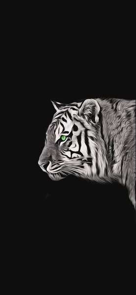 Retrato Creativo Tigre Oscuridad Fondo Pantalla Fondo Vida Silvestre Pantalla — Foto de Stock