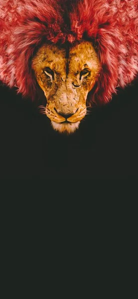 Eine Kreative Löwenkopf Illustration Auf Schwarzem Hintergrund Pop Art Stil — Stockfoto