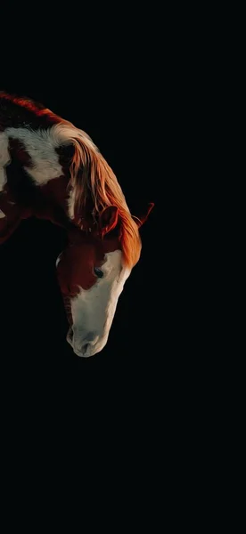 Retrato Ilustração Cavalo Marrom Com Fundo Preto Papel Parede Tela — Fotografia de Stock