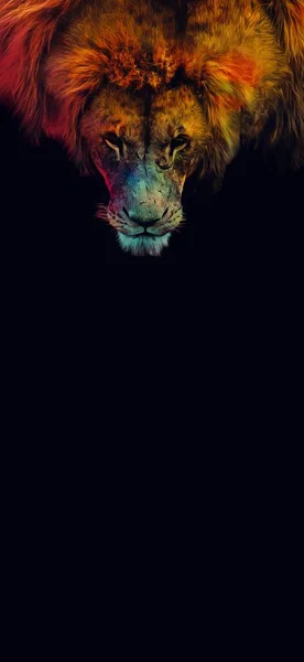 Творческий Лев Головы Иллюстрации Черном Фоне Поп Арт Стиль Льва — стоковое фото